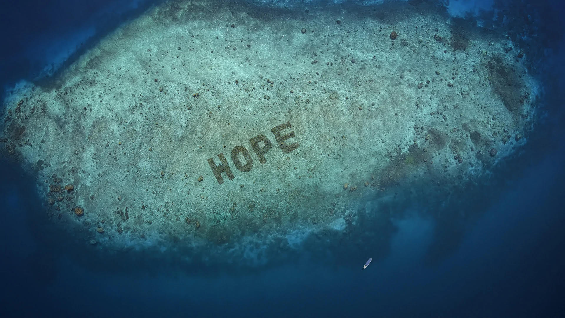 Hope Reef Sheba Coral Restoration Project by The Glue Society