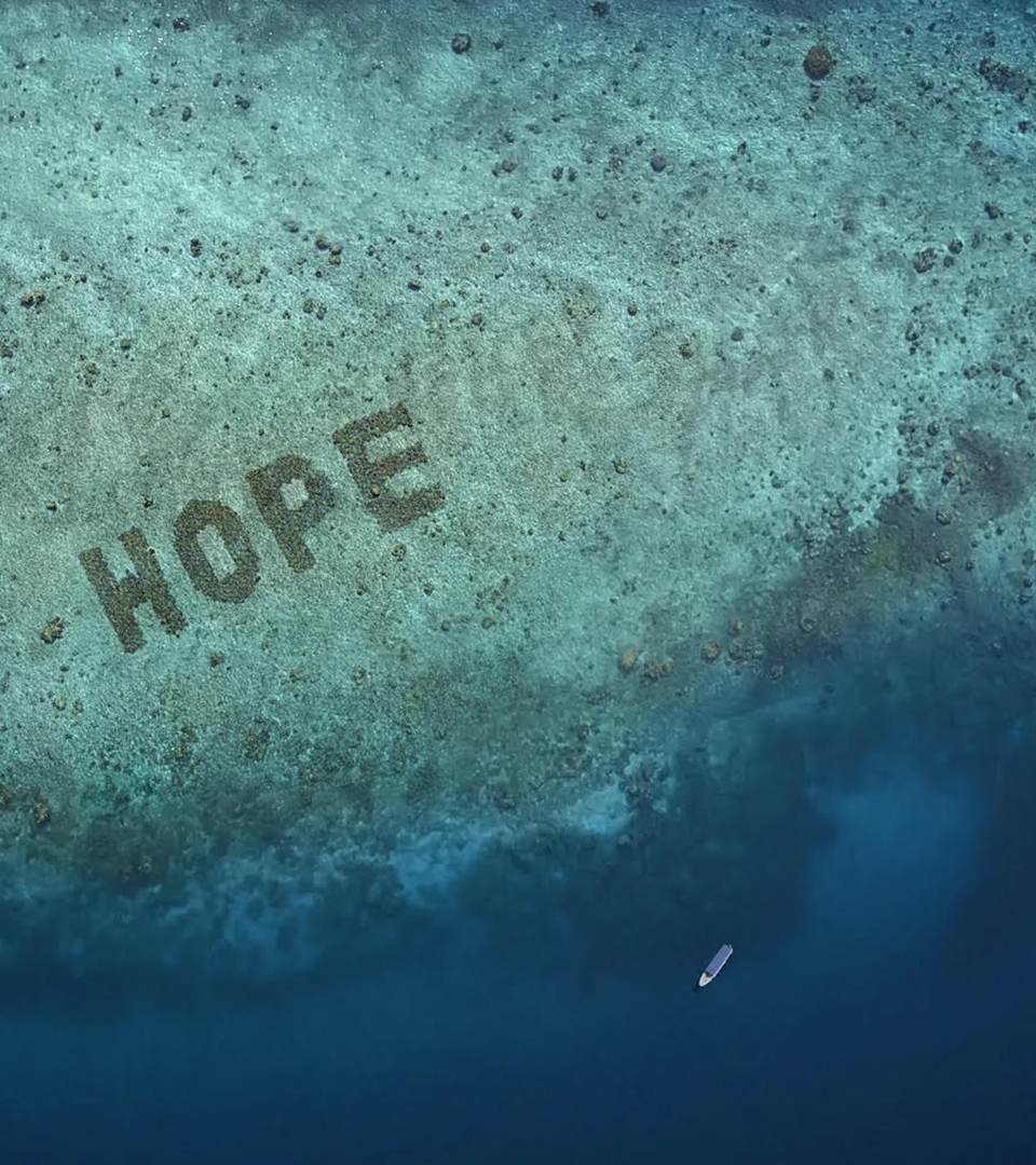 Hope Reef