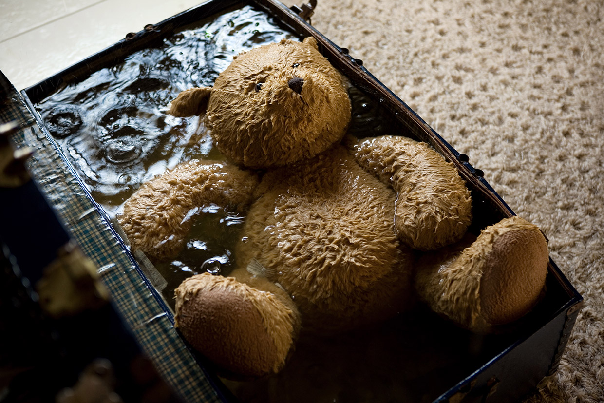 Wet Teddy Bear