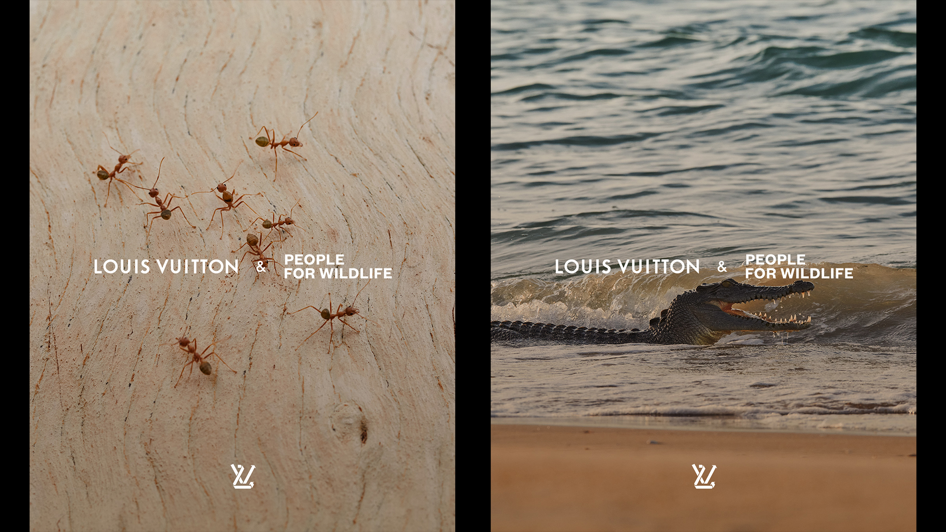 Louis Vuitton Nature Photography