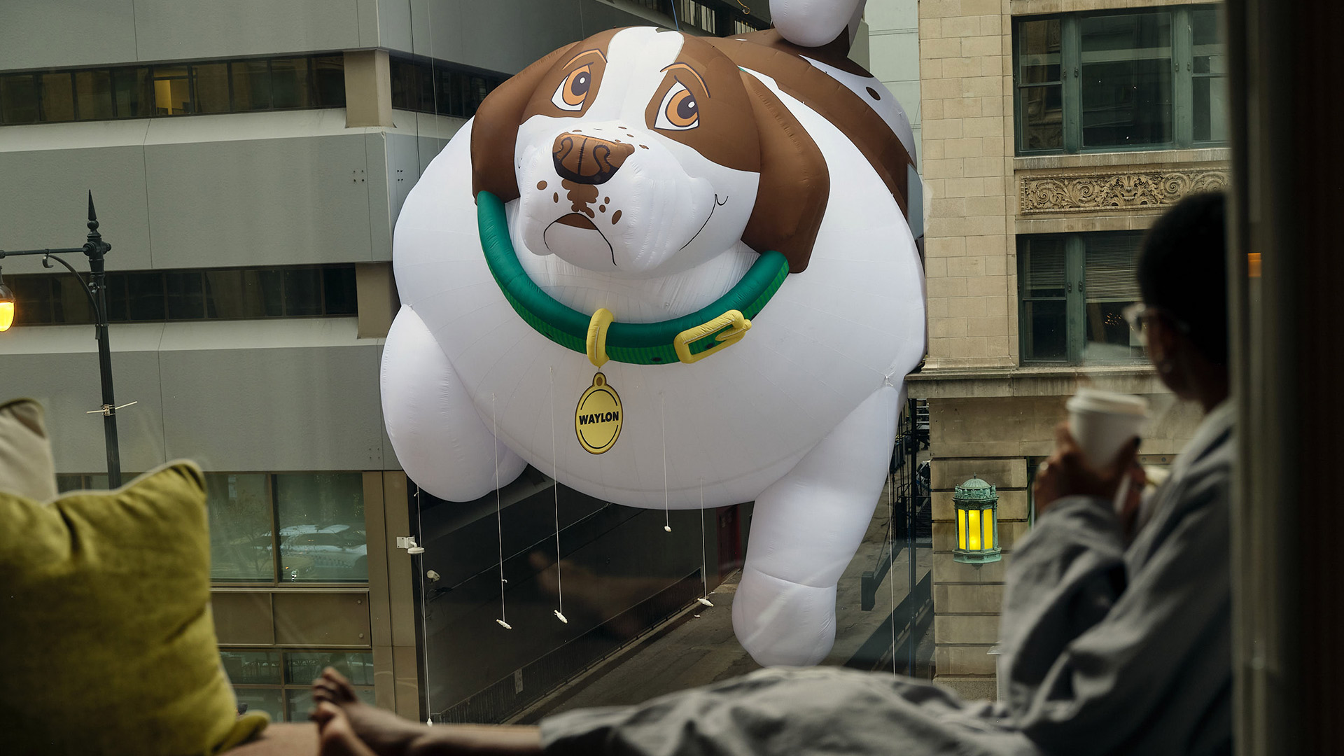 IAMS Thanksgiving Day Parade Dog Stuck between buildings by The Glue Society