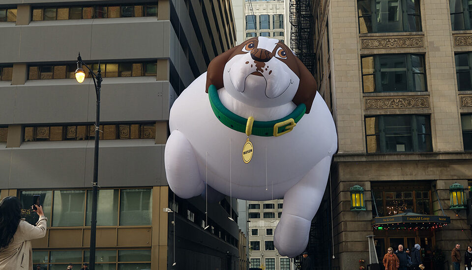 IAMS Thanksgiving Day Parade Dog The Glue Society