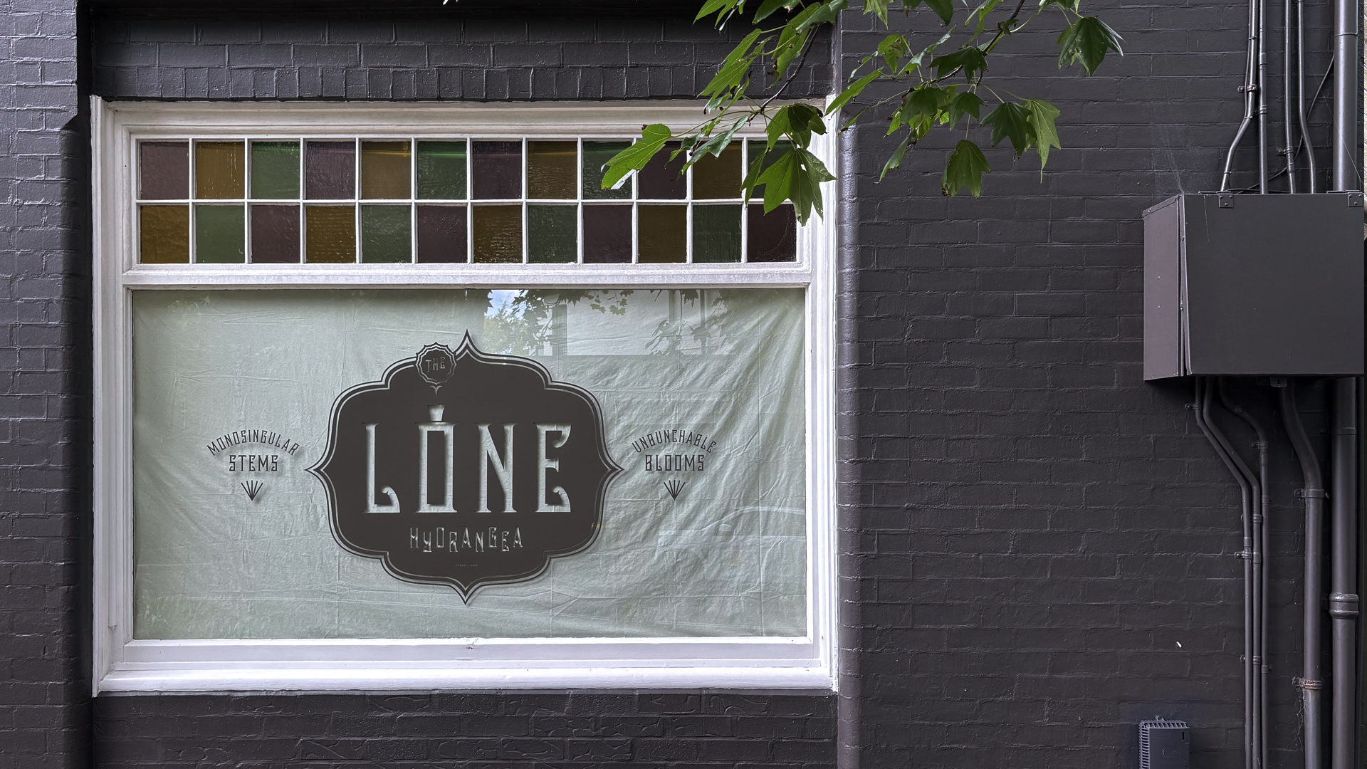 Lone FlopUp Shop by The Glue Society
