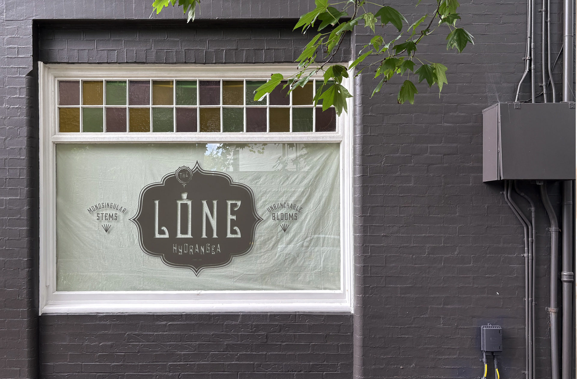 THE LONE HYDRANGEA by The Glue Society